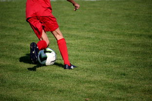 爱游戏在线服务-中超球队球员年龄结构，中超球队平均年龄